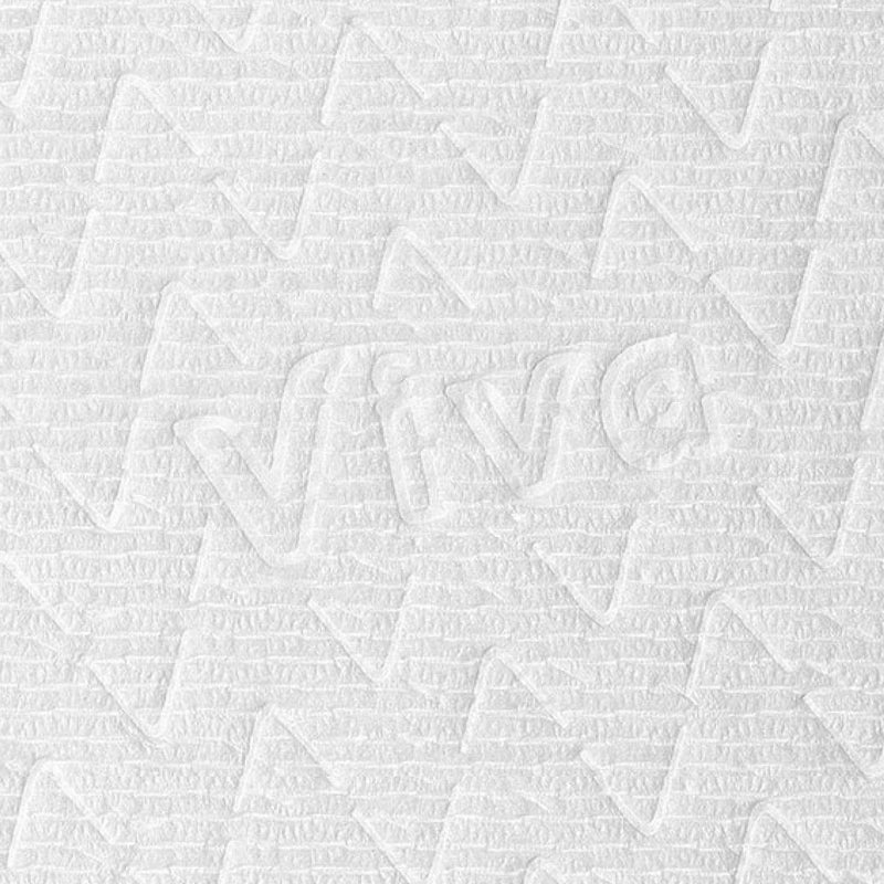 Viva Multi-Surface Cloth Paper Towels, 2-Ply, 110 Sheets, 24-count